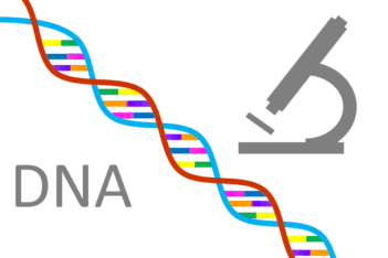 Can entrepreneurs be made? dna graph